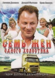 Семь жен одного холостяка постер к фильму смотреть онлайн на HD Rezka