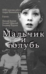 Мальчик и голубь постер к фильму смотреть онлайн на HD Rezka