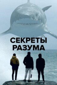 Секреты разума постер к фильму смотреть онлайн на HD Rezka