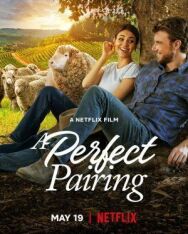 Идеальное сочетание постер к фильму смотреть онлайн на HD Rezka