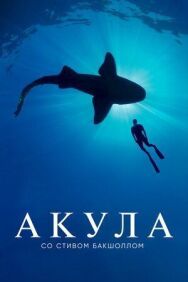 Акула со Стивом Бакшоллом постер к фильму смотреть онлайн на HD Rezka