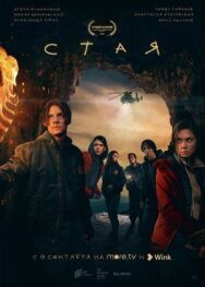 Стая постер к фильму смотреть онлайн на HD Rezka