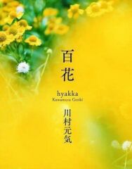 Сотня цветов постер к фильму смотреть онлайн на HD Rezka