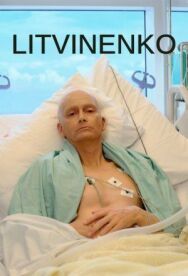 Литвиненко постер к фильму смотреть онлайн на HD Rezka