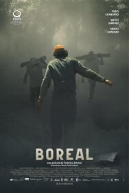 Полярное сияние постер к фильму смотреть онлайн на HD Rezka