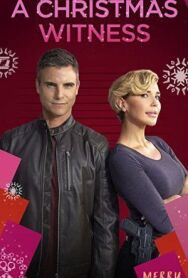 Рождественский свидетель постер к фильму смотреть онлайн на HD Rezka