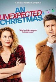 Необычное Рождество постер к фильму смотреть онлайн на HD Rezka