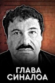 Глава Синалоа постер к фильму смотреть онлайн на HD Rezka