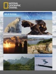 Дикая природа России постер к фильму смотреть онлайн на HD Rezka