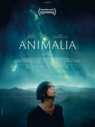 Анималия постер к фильму смотреть онлайн на HD Rezka