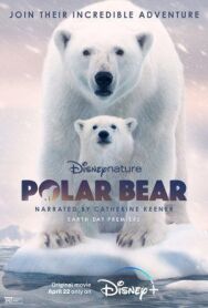 Полярный медведь постер к фильму смотреть онлайн на HD Rezka