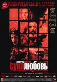 Сука-любовь постер к фильму смотреть онлайн на HD Rezka