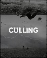 Culling постер к фильму смотреть онлайн на HD Rezka