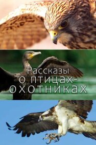 Рассказы о птицах-охотниках постер к фильму смотреть онлайн на HD Rezka