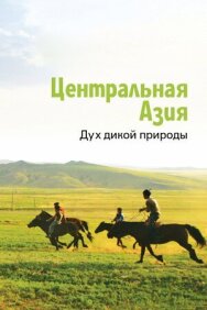 Центральная Азия. Дух дикой природы постер к фильму смотреть онлайн на HD Rezka