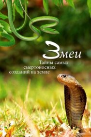 Змеи. Тайны самых смертоносных созданий на земле постер к фильму смотреть онлайн на HD Rezka