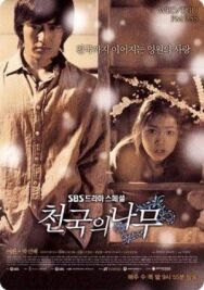 Райское дерево постер к фильму смотреть онлайн на HD Rezka