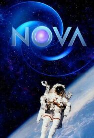 Новая звезда. Сказочный старт жизни постер к фильму смотреть онлайн на HD Rezka
