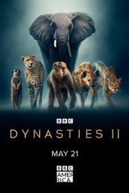 Династии II постер к фильму смотреть онлайн на HD Rezka