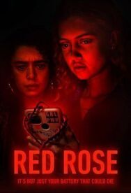Красная роза постер к фильму смотреть онлайн на HD Rezka
