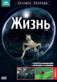 BBC: Жизнь постер к фильму смотреть онлайн на HD Rezka