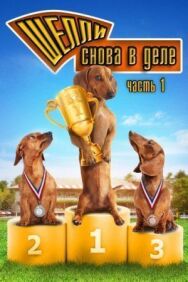 Шелли снова в деле: Часть 1 постер к фильму смотреть онлайн на HD Rezka