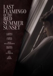 Последний фламинго красного летнего заката постер к фильму смотреть онлайн на HD Rezka