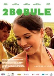 2 ягоды постер к фильму смотреть онлайн на HD Rezka