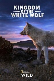 Королевство белого волка постер к фильму смотреть онлайн на HD Rezka