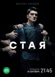 Стая постер к фильму смотреть онлайн на HD Rezka