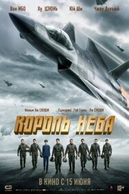 Король неба постер к фильму смотреть онлайн на HD Rezka