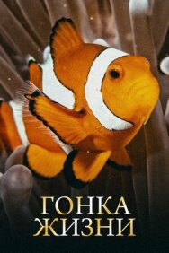 Гонка жизни постер к фильму смотреть онлайн на HD Rezka
