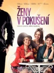 Женщины в соблазне постер к фильму смотреть онлайн на HD Rezka