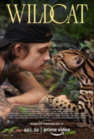 Дикая кошка постер к фильму смотреть онлайн на HD Rezka