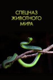 Спецназ животного мира постер к фильму смотреть онлайн на HD Rezka