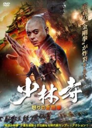 Southern Shaolin and the Fierce Buddha Warriors постер к фильму смотреть онлайн на HD Rezka