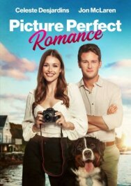 Идеальный роман постер к фильму смотреть онлайн на HD Rezka