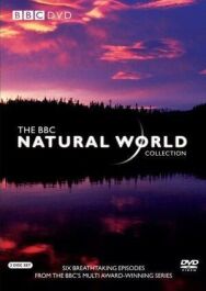 BBC: Живой мир постер к фильму смотреть онлайн на HD Rezka