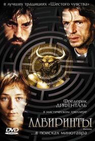 Лабиринты постер к фильму смотреть онлайн на HD Rezka