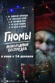 Гномы. Новогодний беспредел постер к фильму смотреть онлайн на HD Rezka