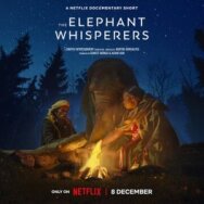 Заклинатели слонов постер к фильму смотреть онлайн на HD Rezka
