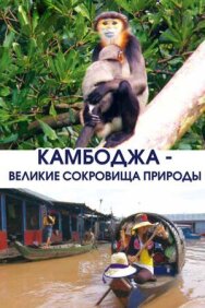 Камбоджа — великие сокровища природы постер к фильму смотреть онлайн на HD Rezka