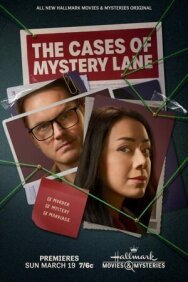 Нераскрытые дела Мистери Лейн постер к фильму смотреть онлайн на HD Rezka