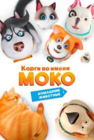 Корги по имени Моко. Домашние животные постер к фильму смотреть онлайн на HD Rezka