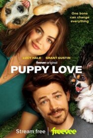 Щенячья любовь постер к фильму смотреть онлайн на HD Rezka