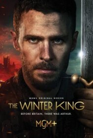 Зимний король постер к фильму смотреть онлайн на HD Rezka