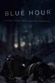 Сумерки: Исчезновение Ника Брандрета постер к фильму смотреть онлайн на HD Rezka