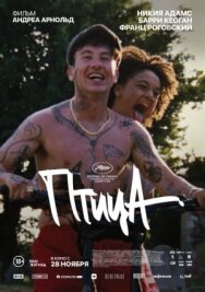Птица постер к фильму смотреть онлайн на HD Rezka