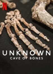 Unknown: Cave of Bones постер к фильму смотреть онлайн на HD Rezka