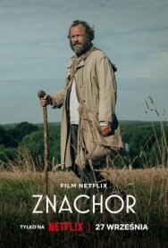 Знахарь постер к фильму смотреть онлайн на HD Rezka
